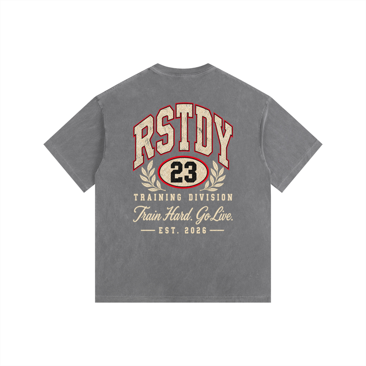 RSTDY Training Division Vintage Tee