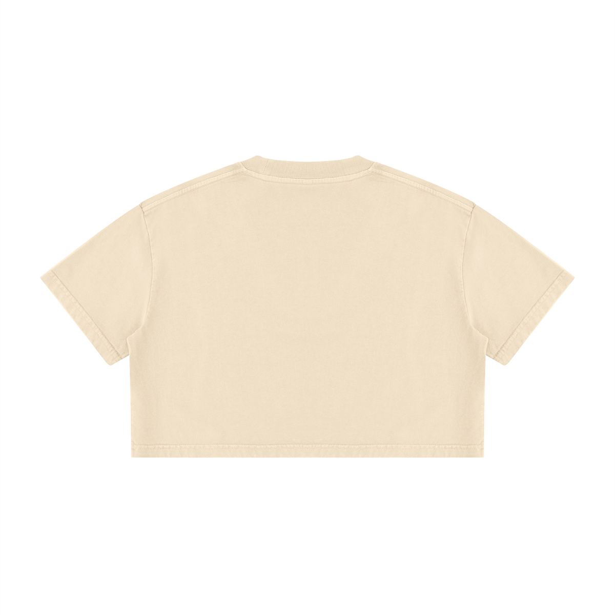 RSTDY Women's Mineral Wash Crop Tee