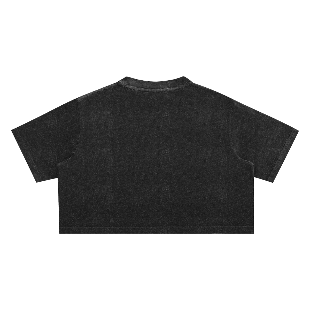 RSTDY Club Washed Crop Top
