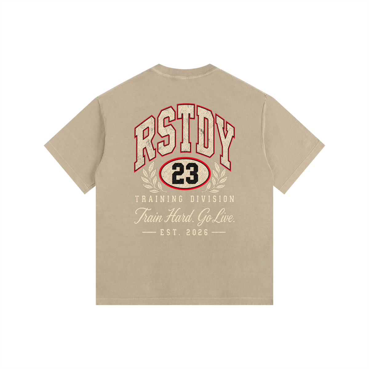 RSTDY Training Division Vintage Tee