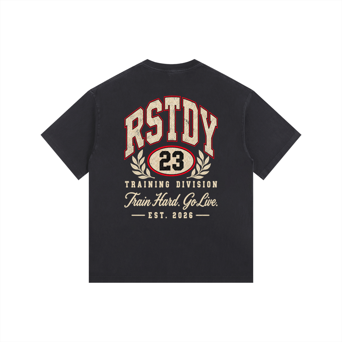 RSTDY Training Division Vintage Tee